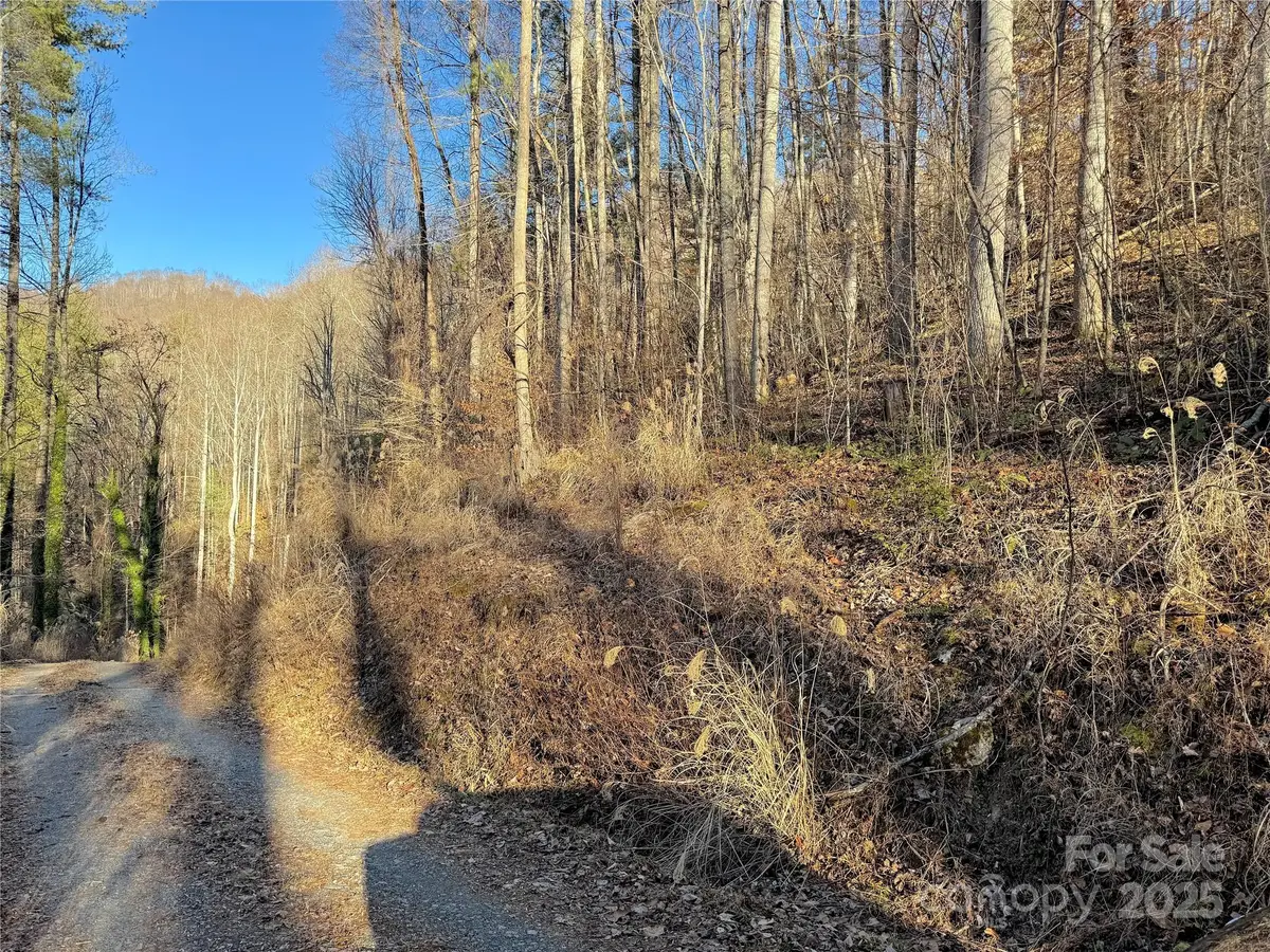 TBD Timberside Drive, Mars Hill, NC 28754 - Image #1