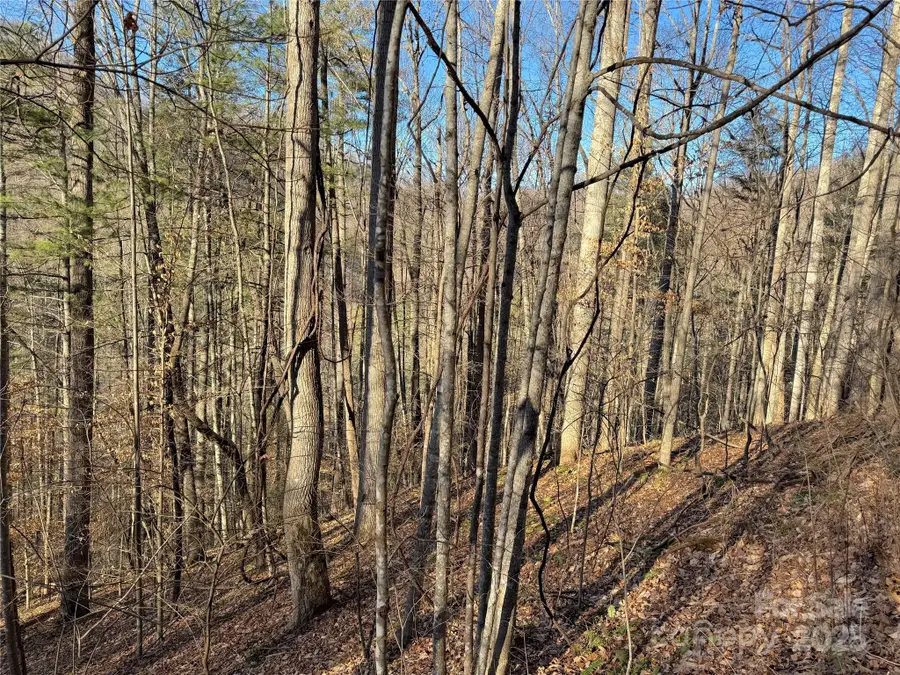TBD Timberside Drive, Mars Hill, NC 28754 - Image #2
