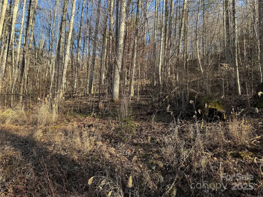 TBD Timberside Drive, Mars Hill, NC 28754 - Image #3