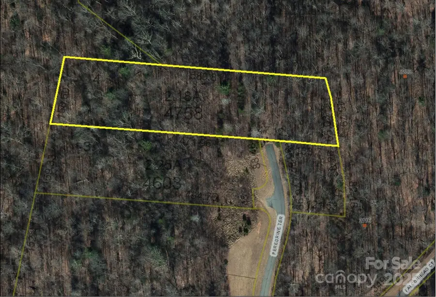 Lot# 4 Peregrine Terrace #4, Lenoir, NC 28645 - Image #2