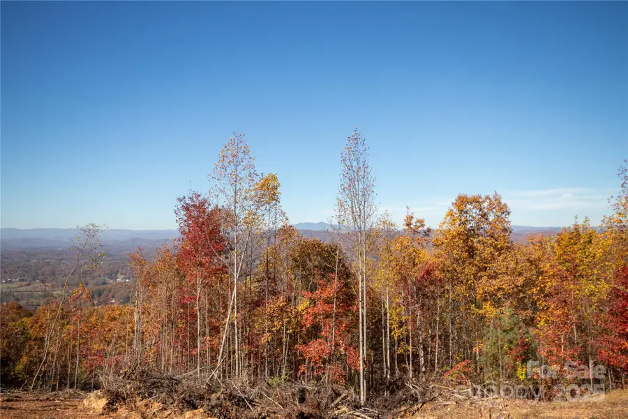 Lot# 4 Peregrine Terrace #4, Lenoir, NC 28645 - Image #3