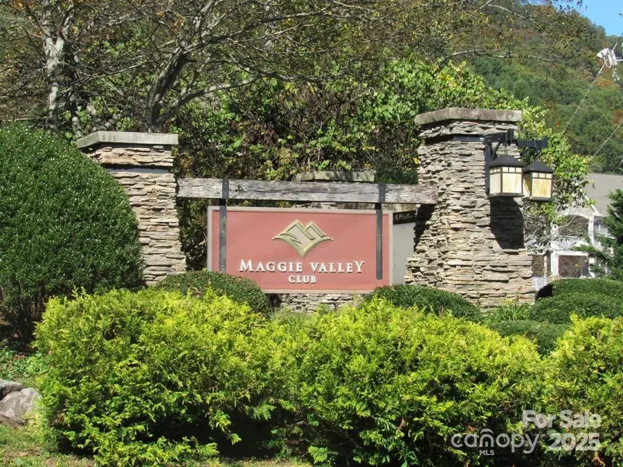 30 Brier Lane, Maggie Valley, NC 28751 - Image #2