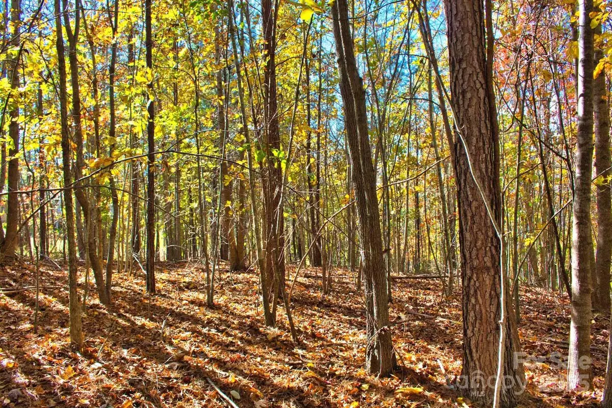 0 Creekside Circle #113, Rutherfordton, NC 28139 - Image #1