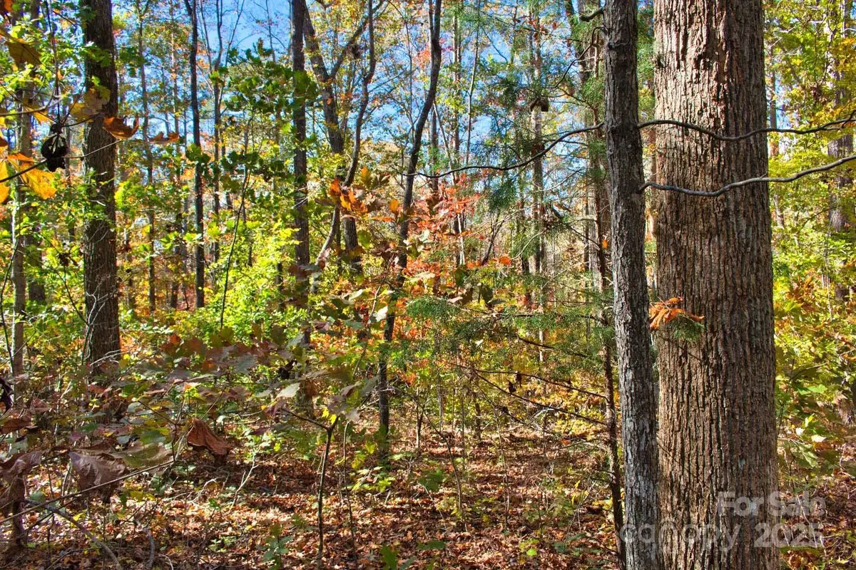 0 Bitteroot Circle #294, Rutherfordton, NC 28139 - Image #1