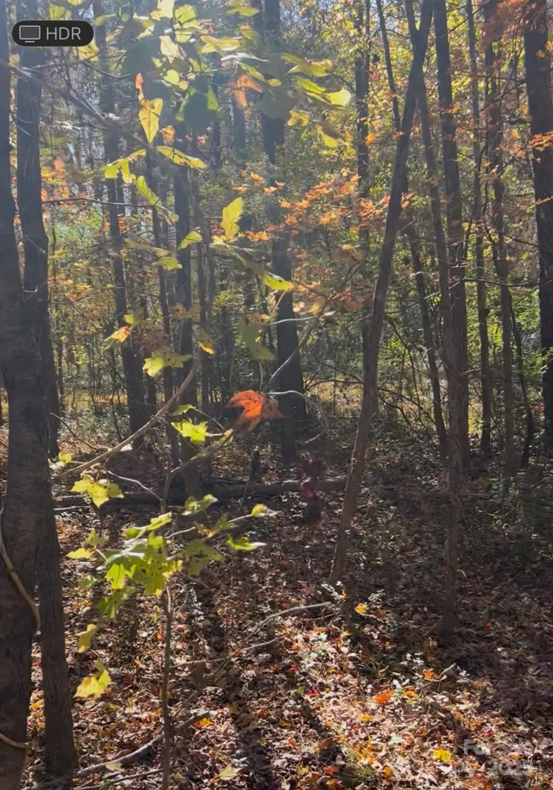 0 Snuggs Park Road, Albemarle, NC 28001 - Image #1