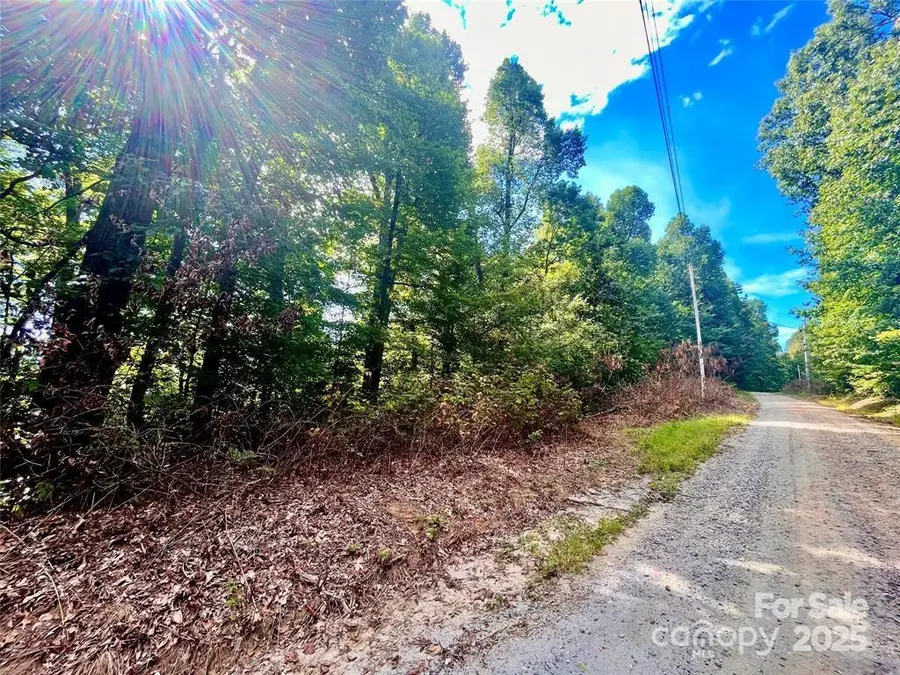 0 Williams Circle #337, Chimney Rock, NC 28139 - Image #3