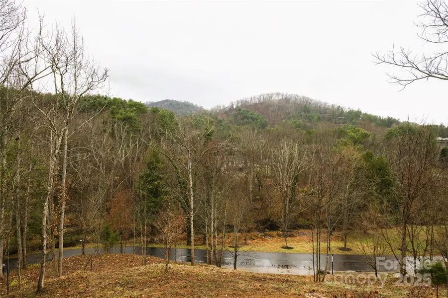 18 Snap Dragon Court, Asheville, NC 28804 - Image #3