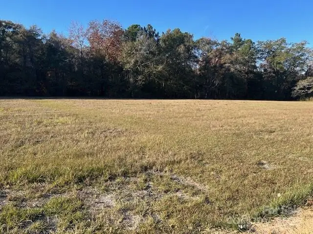 00 N Matson Street, Kershaw, SC 29067 - Image #2