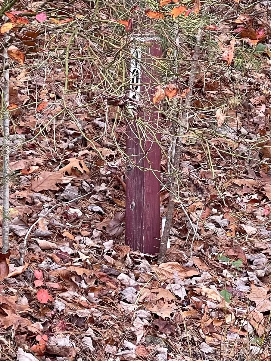 00 Pinnacle Falls Lane, Zirconia, NC 28790 - Image #3