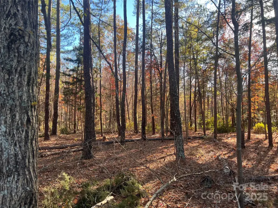 TBD Steele Road #5, Waxhaw, NC 28173 - Image #3