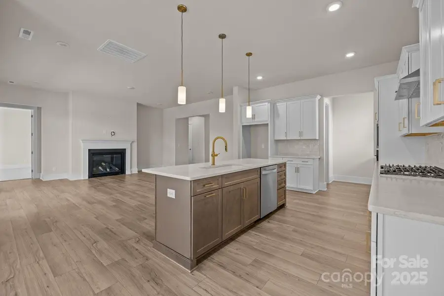 1189 Pinecone Avenue, Indian Land, SC 29707 - Image #3