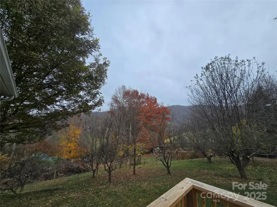 71 London Lane, Clyde, NC 28721 - Image #3