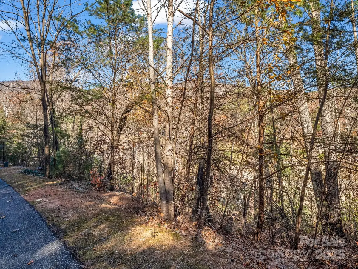 167 Firefly Point, Lake Lure, NC 28746 - Image #1