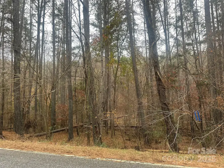 0 Freeman Road, Forest City, NC 28043 - Image #3