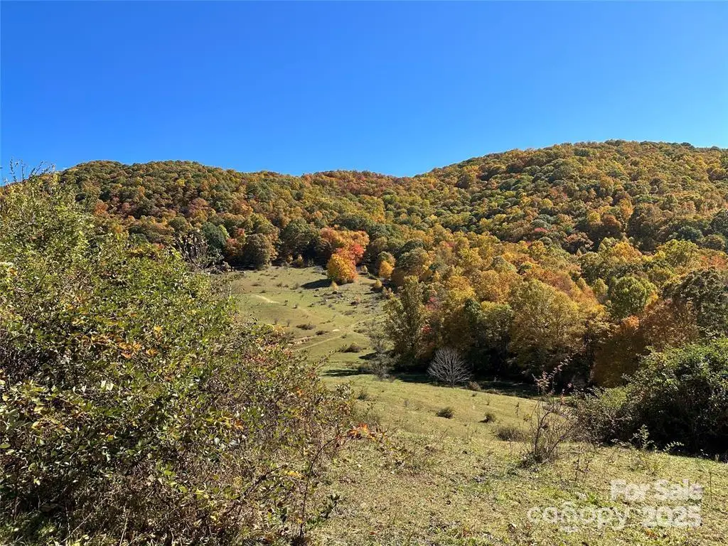 5 Hidden Valley Road, Clyde, NC 28721 - #1