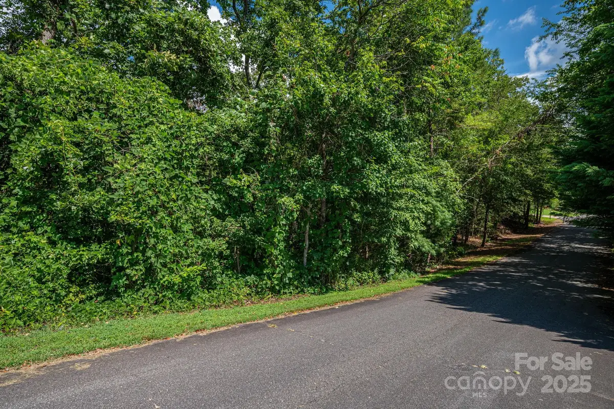 Lot 25 Line Drive, Forest City, NC 28043 - Image #1