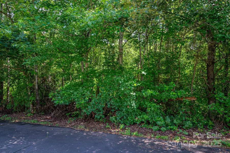 Lot 33 Line Drive, Forest City, NC 28043 - Image #2