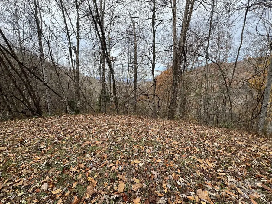 Lot 7 Deer Ridge Road, Bryson City, NC 28713 - Image #3