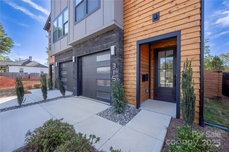 315 E Peterson Street, Charlotte, NC 28217 - Image #3