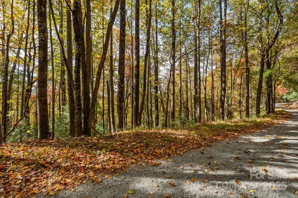Lot 24 Ben Miller Road #24, Deep Gap, NC 28618