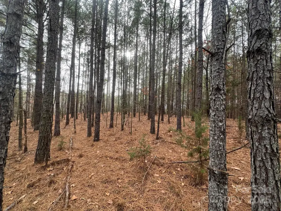 TBD Hwy 109 None S, Peachland, NC 28133 - Image #2