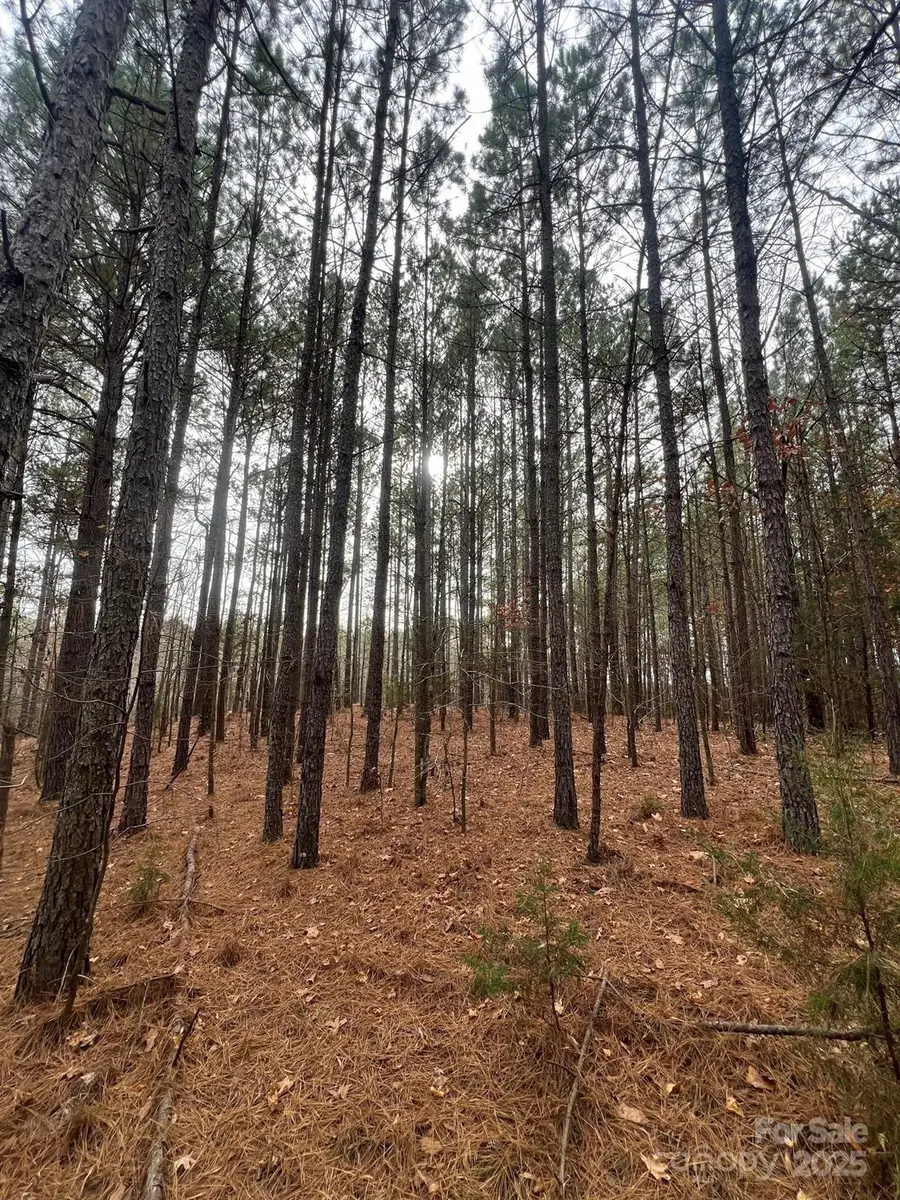 TBD Hwy 109 None S, Peachland, NC 28133 - Image #3