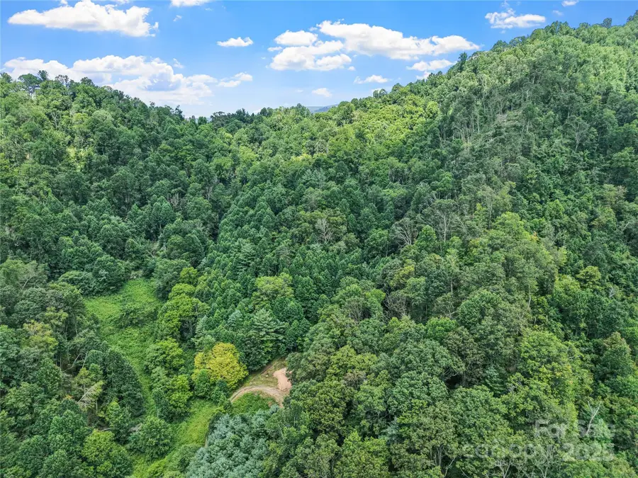 X Bee Branch Road, Bakersville, NC 28705 - Image #3