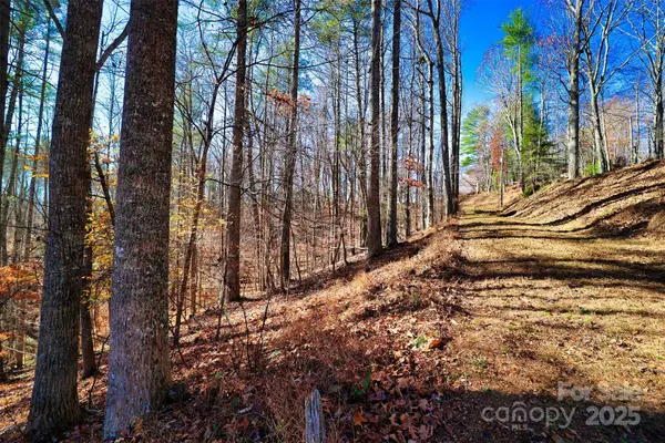 TBD Rockinghorse Trail #Tract 1, Burnsville, NC 28714