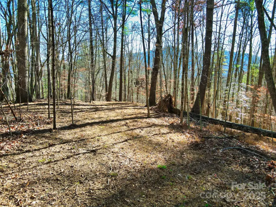 TBD Rockinghorse Trail #Tract 3, Burnsville, NC 28714 - Image #3