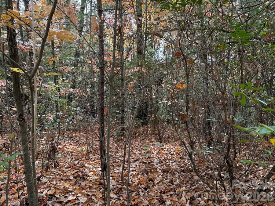 TBD Casey Mountain Road #209, Purlear, NC 28665 - Image #3