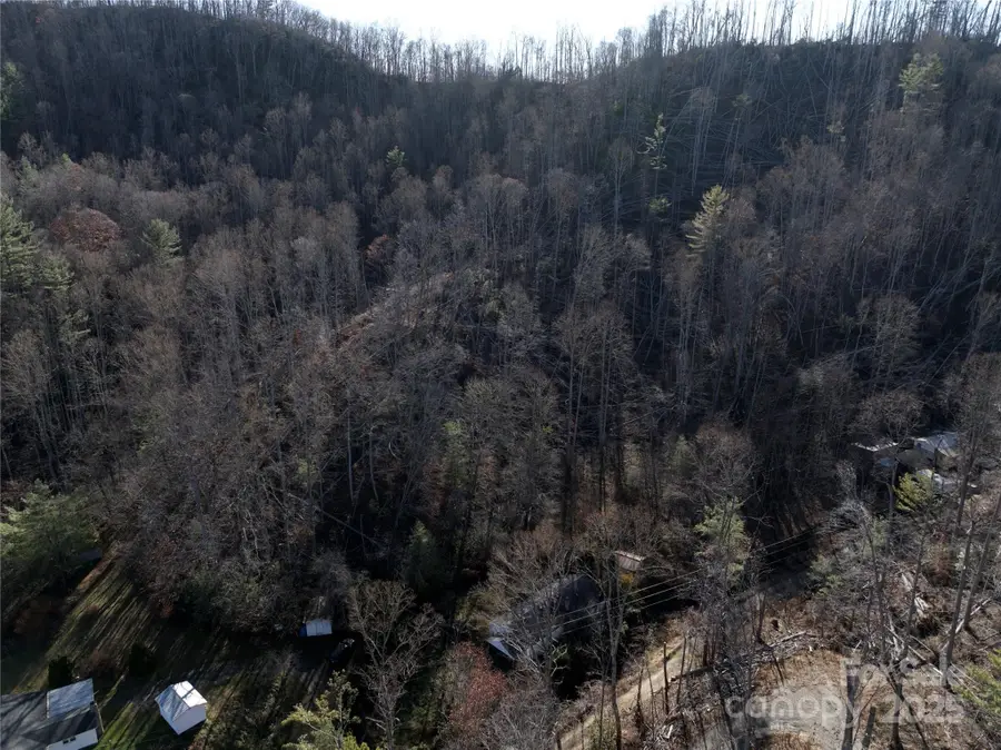 615 Fred Sparks Road, Bakersville, NC 28705 - Image #3