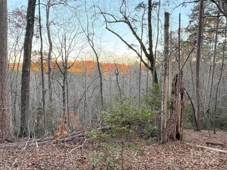 0 Polk County Line Road, Rutherfordton, NC 28139 - Image #3