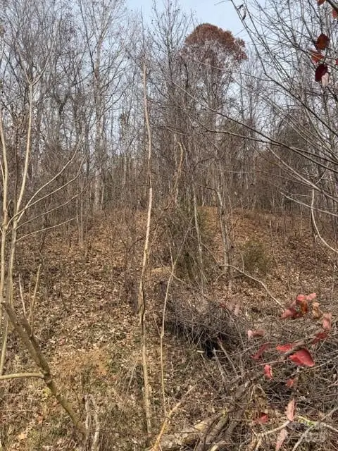 00 Yancey Road, Marion, NC 28752 - Image #2