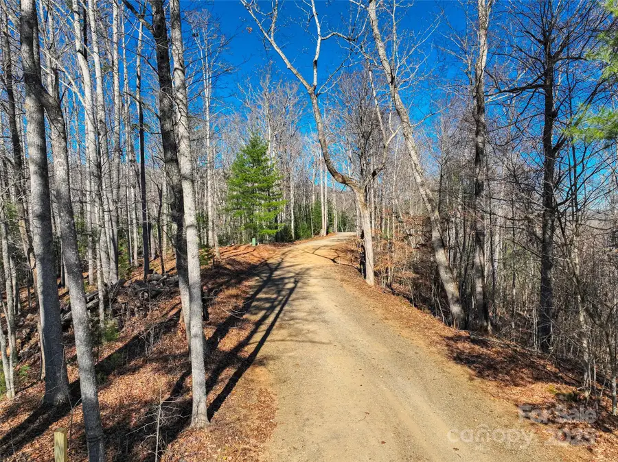 00000 High Peak Ridge #10, Green Mountain, NC 28740 - Image #2