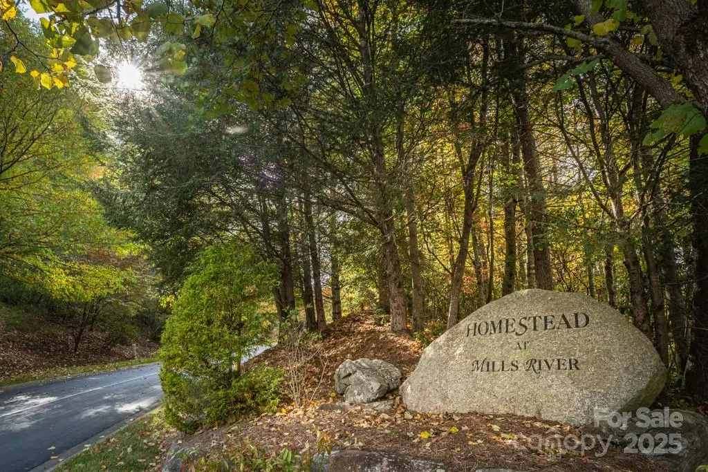99999 Shining Rock Path, Horse Shoe, NC 28742 - #1