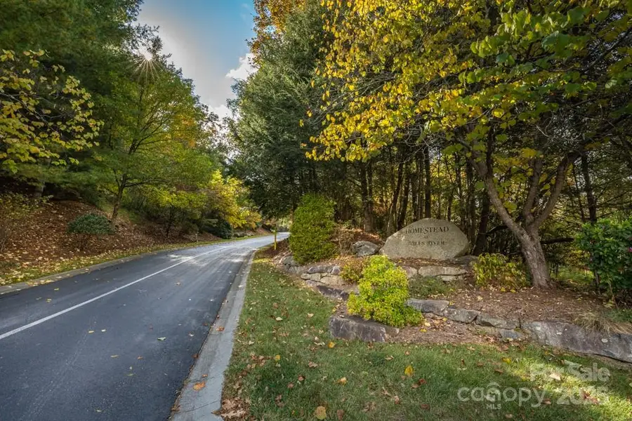 99999 Shining Rock Path, Horse Shoe, NC 28742 - #2