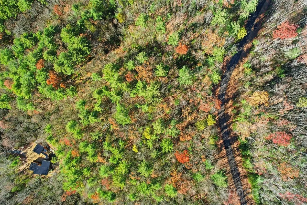 Lot 75 Peppervine Circle, Eastatoe, NC 28712 - Image #1