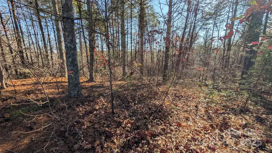 1111 Table View Drive, Morganton, NC 28655 - Image #3