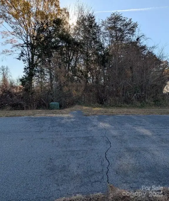 0 Grassy Meadows Court #48, Lincolnton, NC 28092 - Image #2