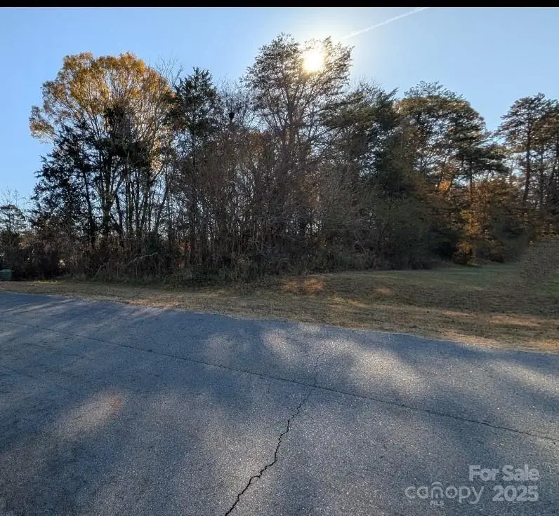 0 Grassy Meadows Court #48, Lincolnton, NC 28092 - Image #3