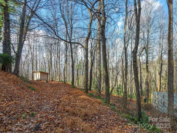 000 Indian Cave Park Road, Hendersonville, NC 28739