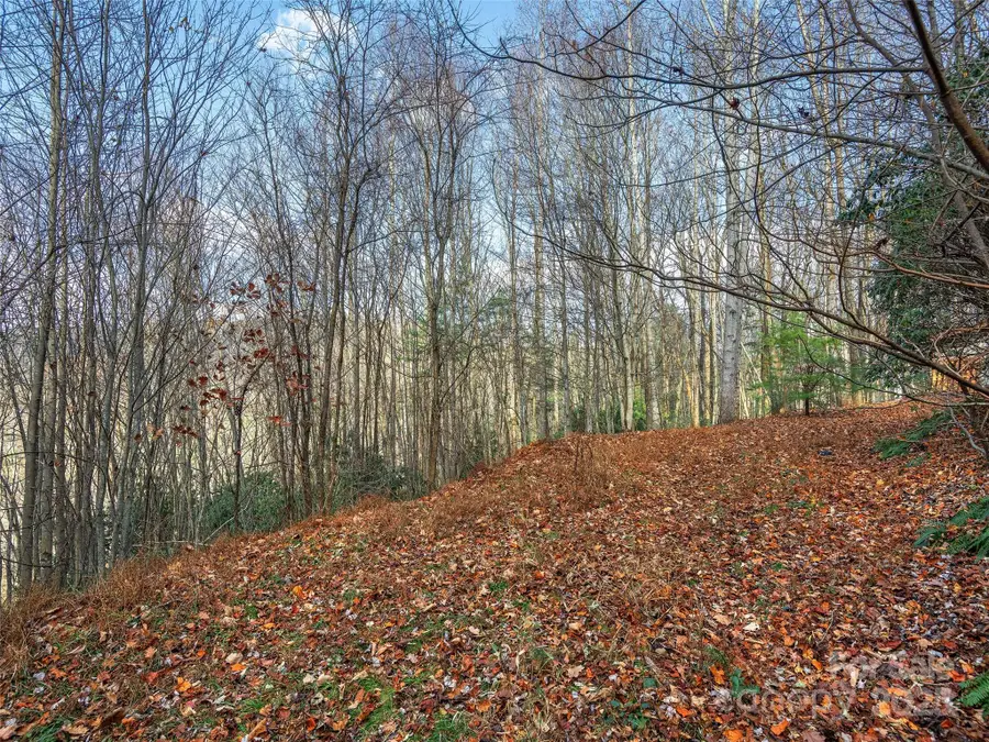000 Indian Cave Park Road, Hendersonville, NC 28739 - Image #3