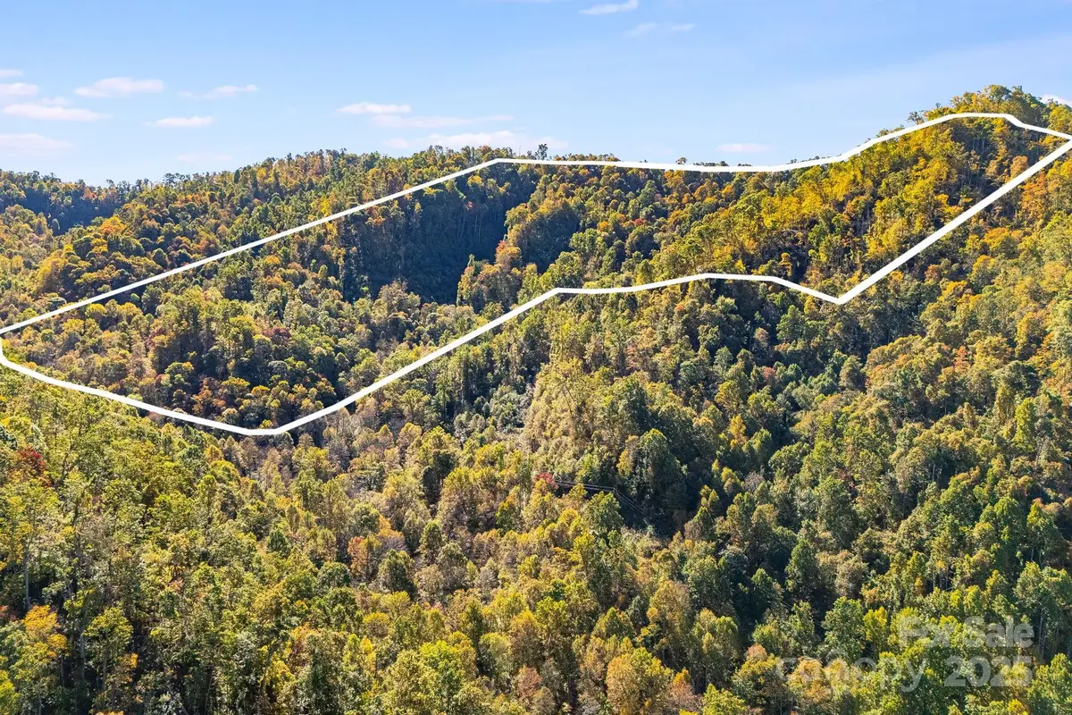 000 Hamburg Road #49, Mars Hill, NC 28754 - Image #1