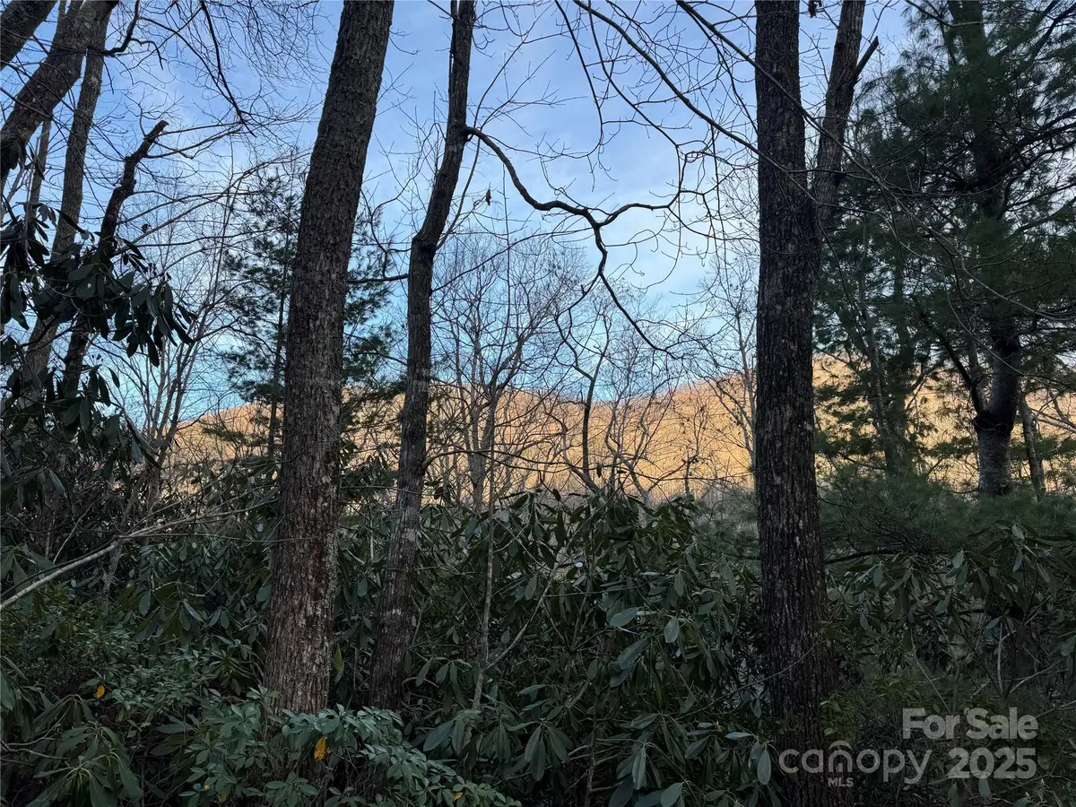 99999 Shenandoah Terrace, Montreat, NC 28757 - #1