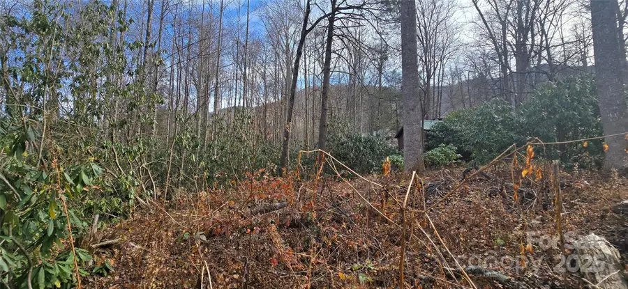 Lot 20 Twinbrook Lane, Maggie Valley, NC 28751 - Image #3
