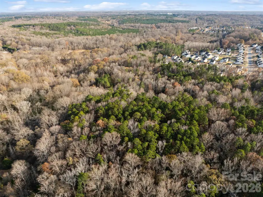 0000 Sandy Ford Road, Mount Holly, NC 28120 - Image #2