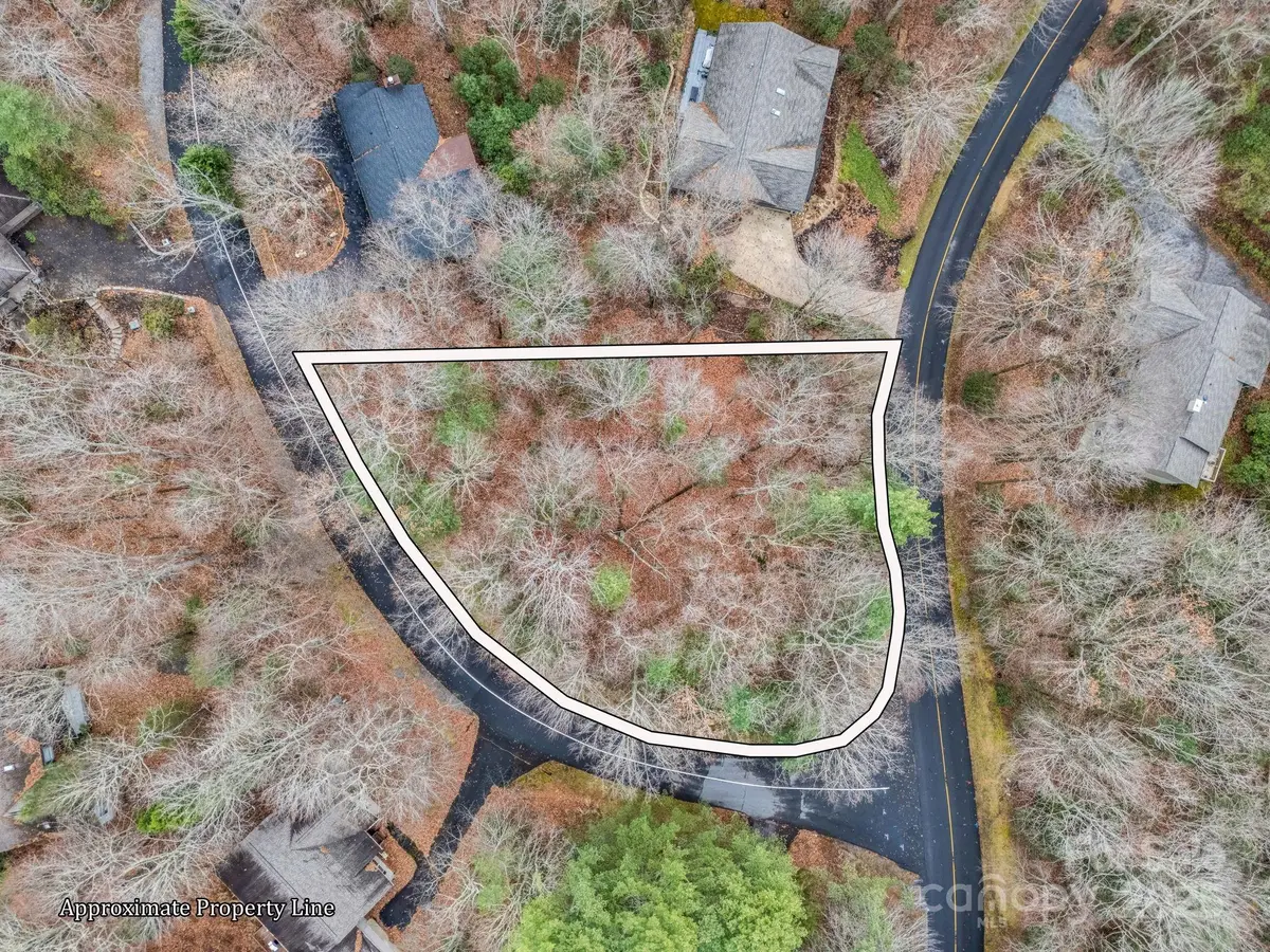 TBD Ossarooga Court #Lot 29/Unit 6, Brevard, NC 28712 - Image #1