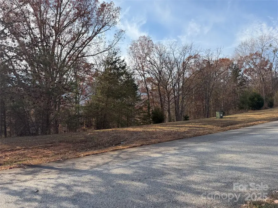 99999 Chestertown Drive, Mill Spring, NC 28756 - Image #3