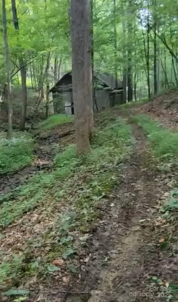 295 Bennett Branch Road, Green Mountain, NC 28740