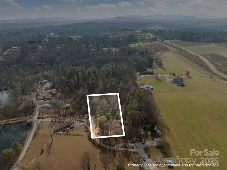 99999 Twin Lakes Drive, Hendersonville Township, NC 28792 - Image #2